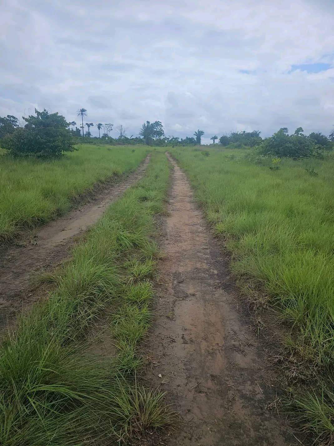 1acres for sale